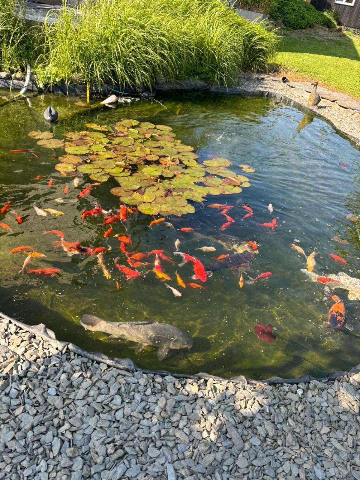 Le Clos Des Bansions Jalhay Esterno foto